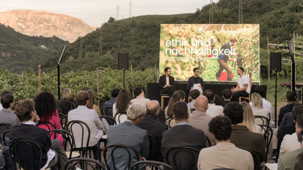 Pitzner Winery & Suites: quando il vino racconta il territorio Pitzner 3